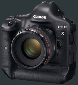 Canon EOS 1D X Pic