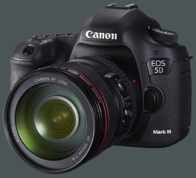 Canon EOS 5D Mk III gro