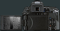 Olympus E-5 Pic