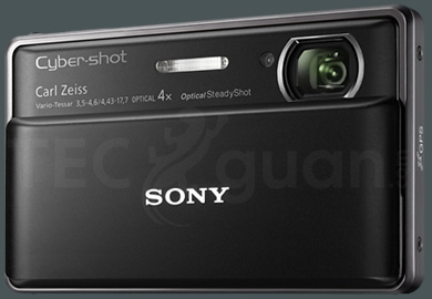 Sony Cyber-shot DSC-TX100V gro